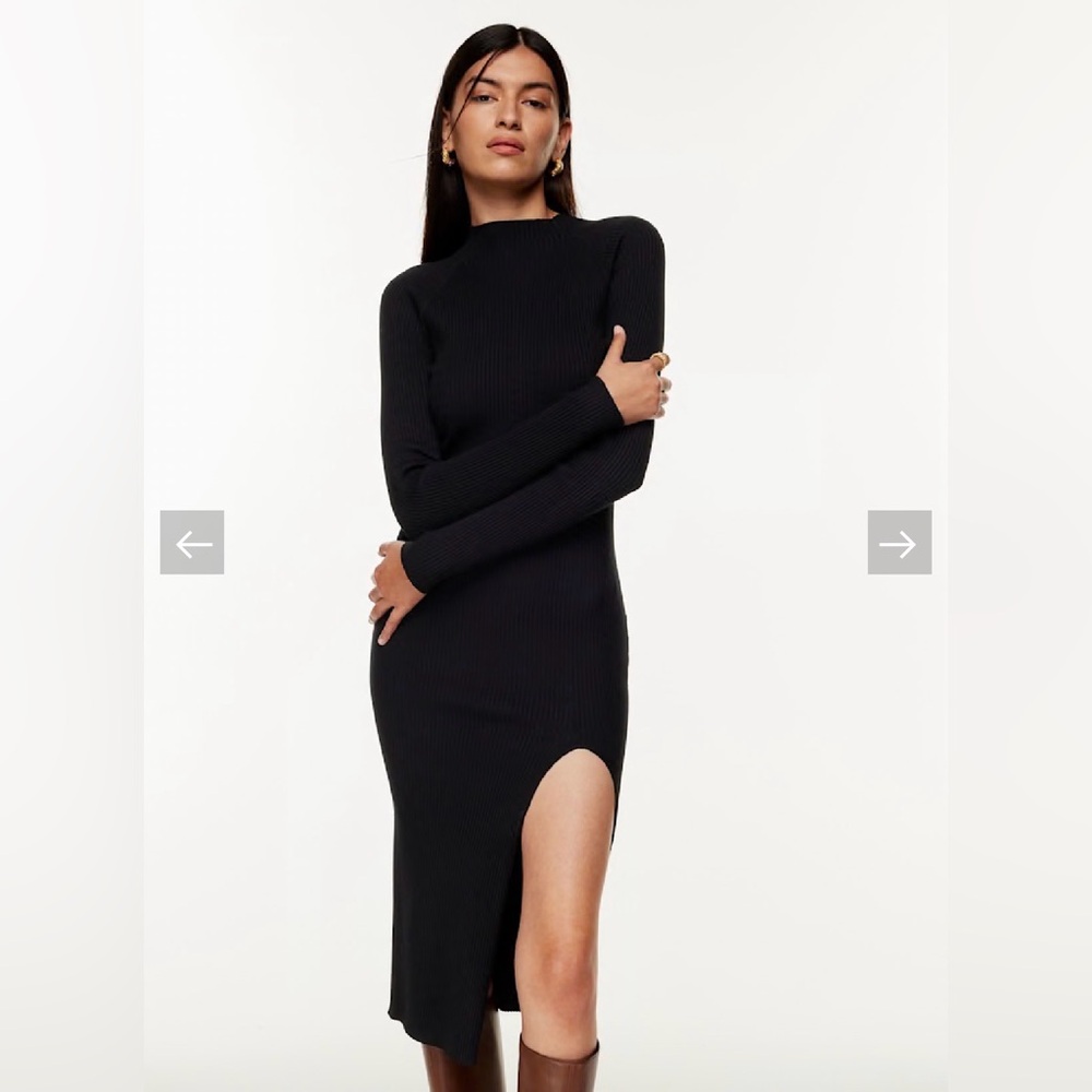 Aritzia Wilfred Alchemy Dress